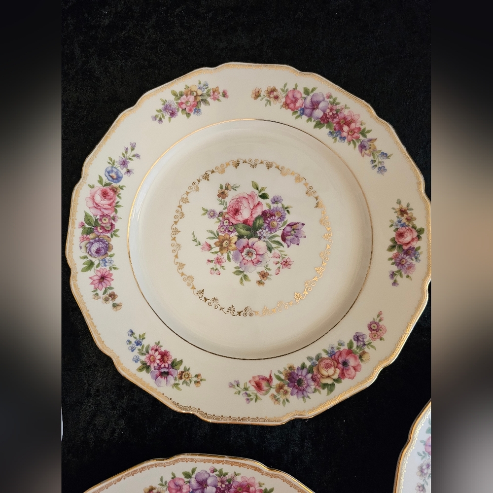 Set Of 4, Gorgeous Sylvia - Thomas Ivory Bavaria Dinner Plates - Picture 5 of 9